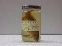 藏品(赤石斑魚)的圖片